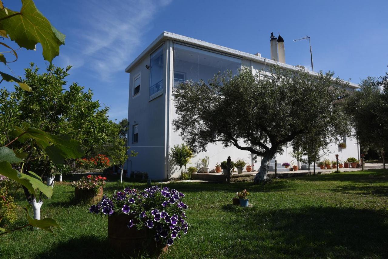 Mina Apartments Zacharo Esterno foto